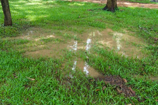 Cost of Storm Water Drainage Service in Willoughby