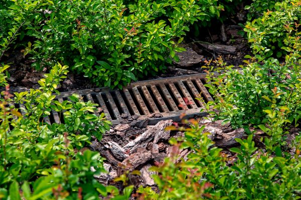 Cost of Underground Drainage Service in Willoughby