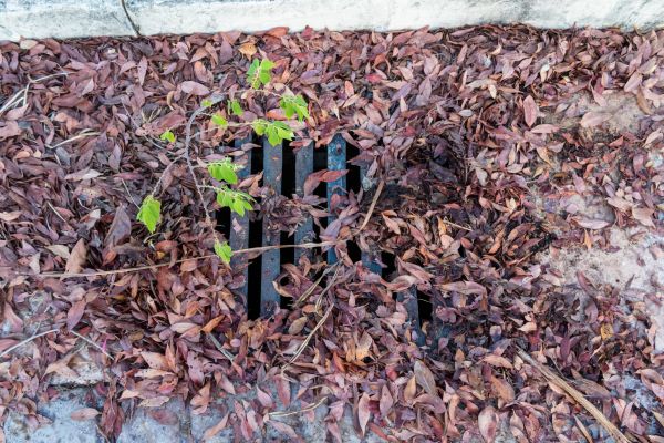 Cost of Yard Drain Unclogging in Willoughby