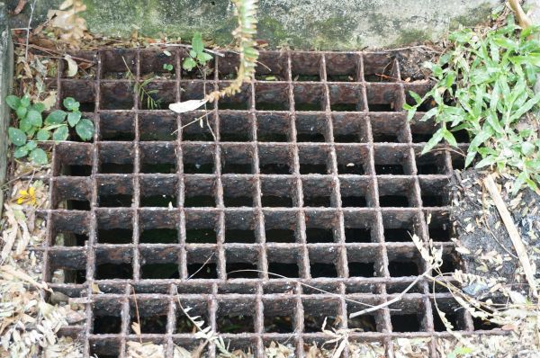 Cost of Yard Drain Cleaning in Willoughby