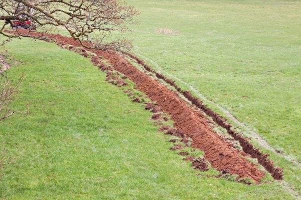 Cost of Swale Installation in Willoughby