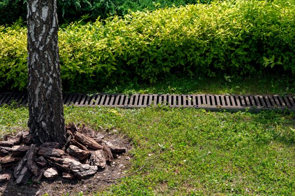 Cost of Garden Drainage Installation in Willoughby