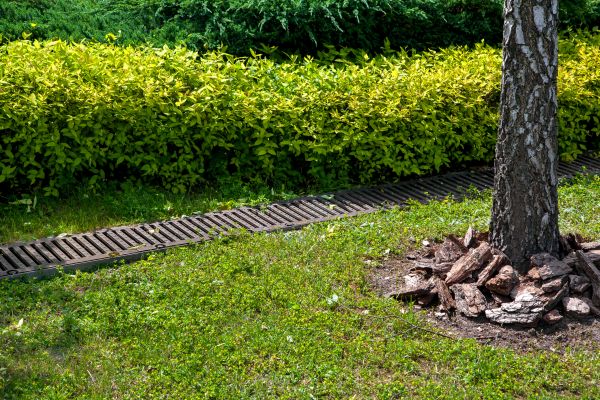 Cost of Residential Landscape Drainage in Willoughby