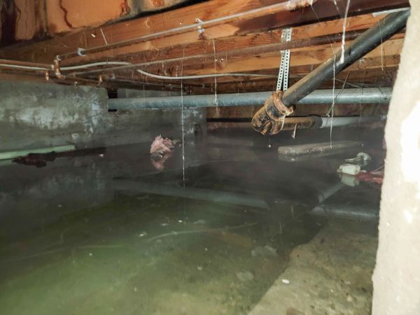 Cost of Crawlspace Drainage in Willoughby