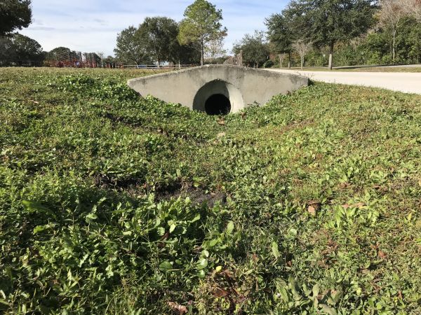 Cost of Swale Drainage Service in Willoughby